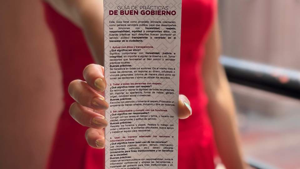 Guía de Prácticas de Buen Gobierno